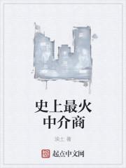 知名的中介公司