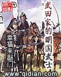 武田家的明国武士精校版