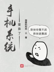 手机系统一般占多少内存