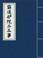 霸道护院二三事电视剧