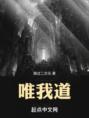 唯我道无防盗全文txt