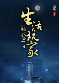 综武侠生活玩家何错之有pdf