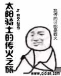 太阳骑士叫什么名字